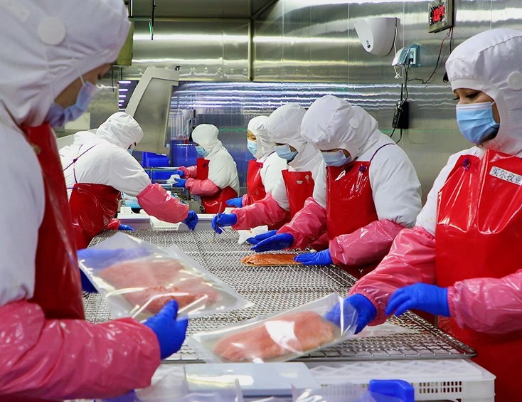 国际权威认证三文鱼生食深加工厂